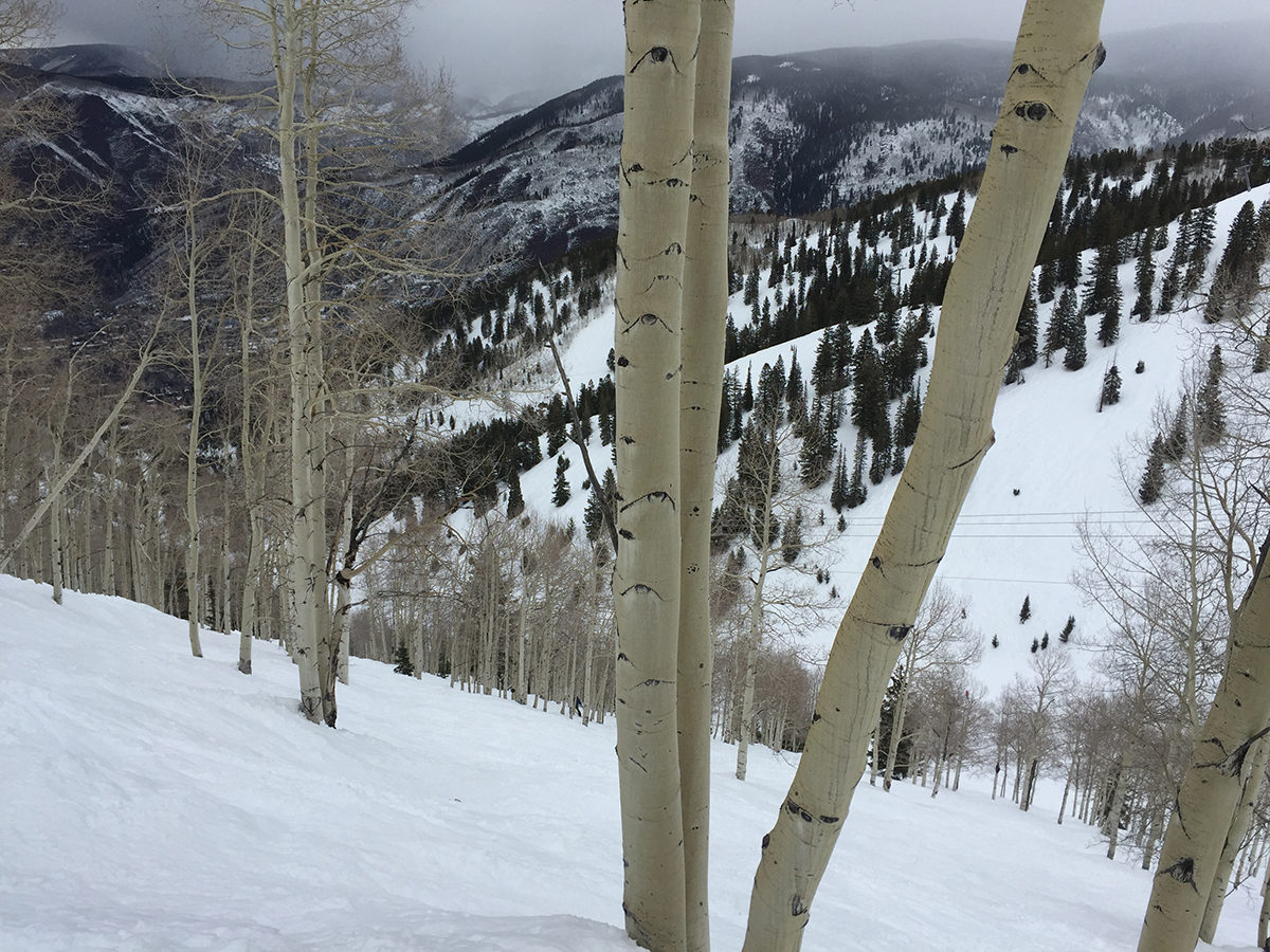 Skiing Aspen/Snowmass