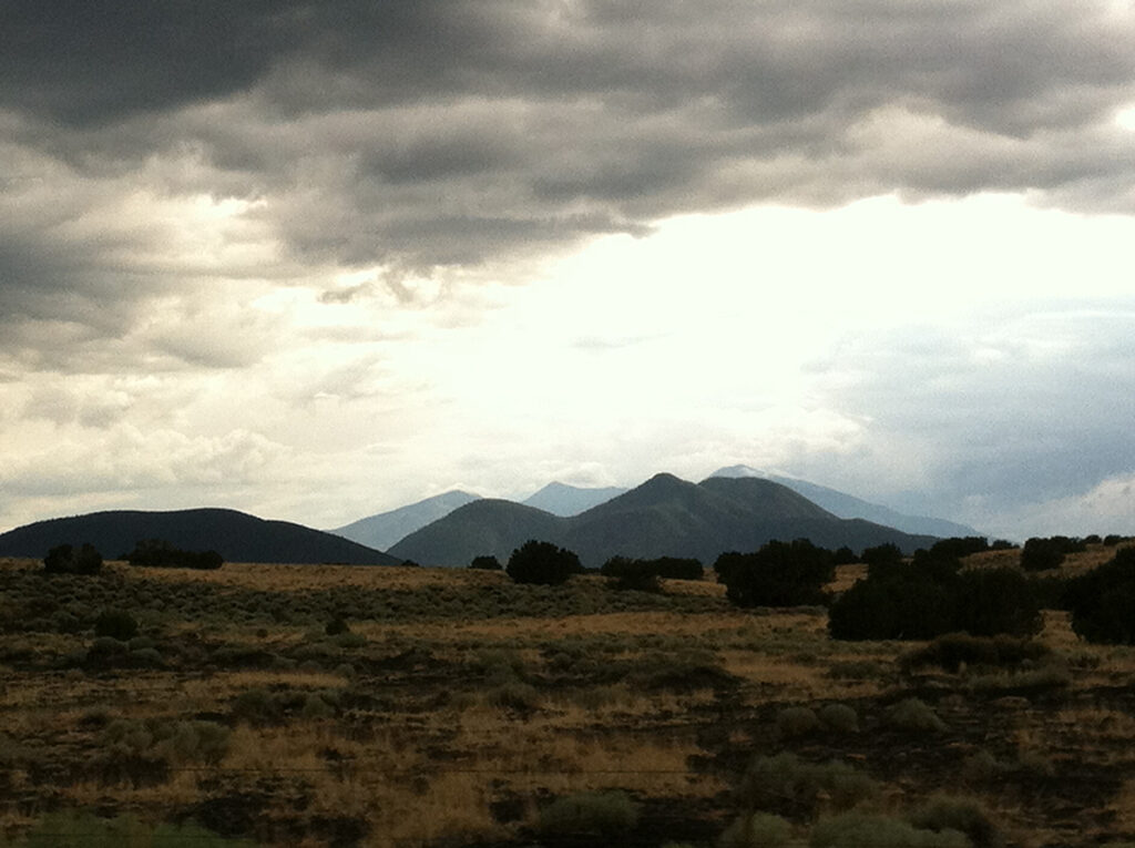 ode-to-the-scent-after-rain-odeities